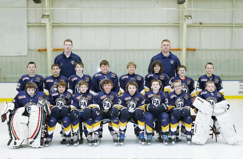2014 Team Profiles Brick Invitational Hockey